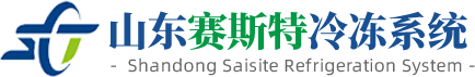 賽斯特